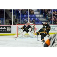 Vancouver Giants goaltender Burke Hood
