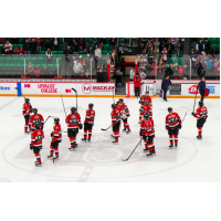 Belleville Senators on the ice