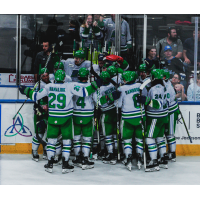 Florida Everblades mob Anton Malmström after his game-winning goal