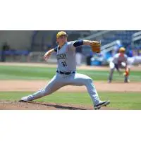 Montgomery Biscuits pitcher Owen Wild