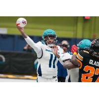 Massachusetts Pirates quarterback Kenji Bahar