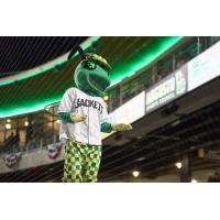 Augusta GreenJackets mascot Auggie