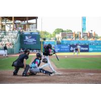 Greensboro Grasshoppers infielder Keiner Delgado at bat