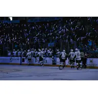 Jacksonville Icemen in front of the home crowd
