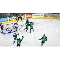 Texas Stars react after a goal against the Milwaukee Admirals