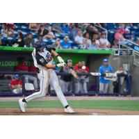 Pensacola Blue Wahoos as the Malmo Oat Milkers