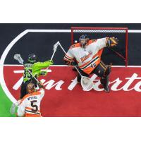 Saskatchewan Rush forward Austin Shanks scores against the Buffalo Bandits