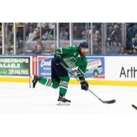 Florida Everblades defenseman Sean Allen
