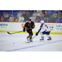 Vancouver Giants defenceman Mazden Leslie