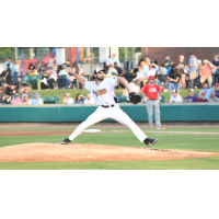 Down East Bird Dawgs pitcher Spencer Johnston