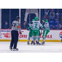 Florida Everblades celebrate a goal