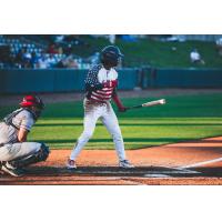 Lincoln Saltdogs at bat