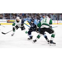 Texas Stars' Matthew Seminoff and Harrison Scott battle Milwaukee Admirals' Fedor Svechkov