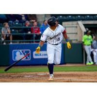 Tri-City Dust Devils outfielder Randy De Jesus