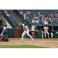 Greensboro Grasshoppers infielder Maikol Escotto at bat
