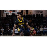 Edmonton Stingers guard Sean East II