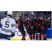 Moncton Wildcats gather following a goal against the Rimouski Oceanic