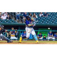 Montgomery Biscuits catcher Ricardo Genovés