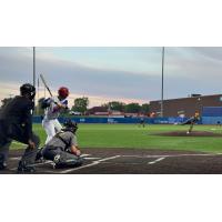 Green Bay Rockers await a pitch