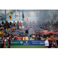 Fans cheer on Detroit City FC