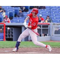 Ottawa Titans at the plate