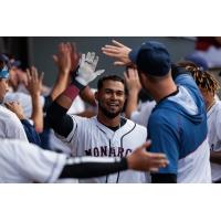 Kansas City Monarchs congratulate Alvaro Gonzalez in the dugout