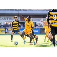 Rhode Island FC forward Albert Dikwa vs. Pittsburgh Riverhounds SC