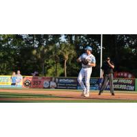 Myrtle Beach Pelicans in the field