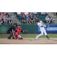 Tri-City Dust Devils at bat