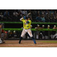 Gabriel Silva of the Columbia Fireflies