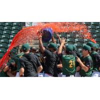 Hickory Crawdads celecrate Maxton Martin's three-run, walk-off homer