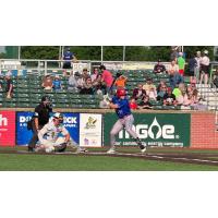 Green Bay Rockers catcher Brayden Buchanan at bat