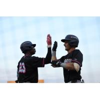 Pensacola Blue Wahoos exchange high fives