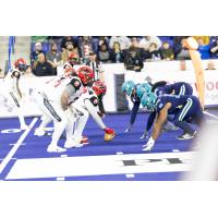 Massachusetts Pirates defense lines up against the Jacksonville Sharks
