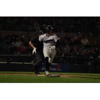Somerset Patriots' Dylan Jasso in action