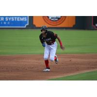 Asbel Gonzalez of the Columbia Fireflies