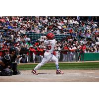 Kevin García of the Winnipeg Goldeyes